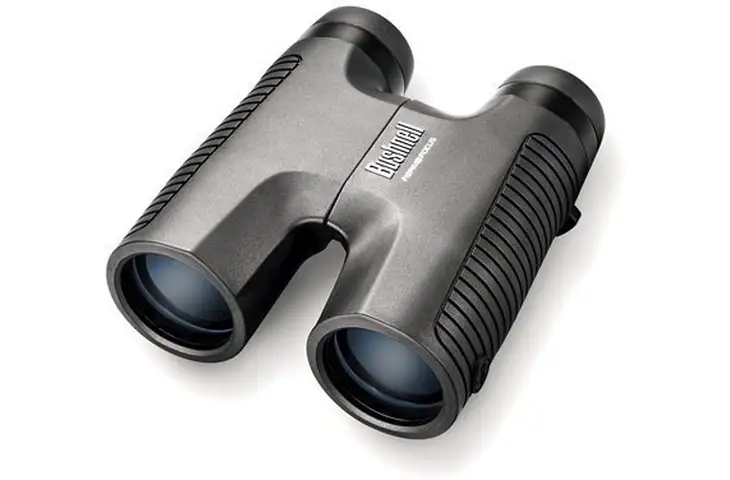 Bushnell Permafocus 10x42mm Focus Free Binoculars